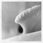 2015 - 282